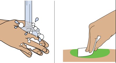 10_wash Hands.jpg (10 Wash Hands)